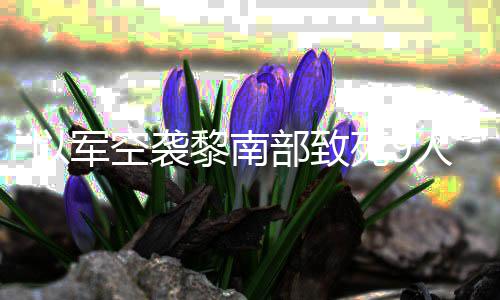 部致机和无人党用黎南以军真主空袭火炮回击人 死9