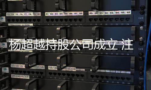 0万股公立 杨超越持元注册资本司成