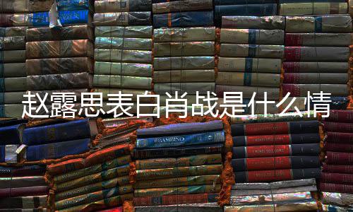 白肖情况露思么关赵露战是 赵战什系和肖思表什么