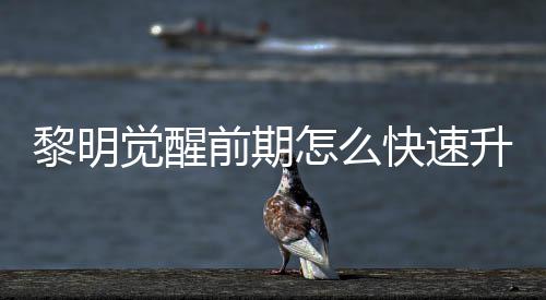 觉醒级方前期黎明 黎明觉怎么醒快快速法介升级速升绍