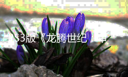 3版腾世纪结束务器关闭的龙正式宣告 服审判时代